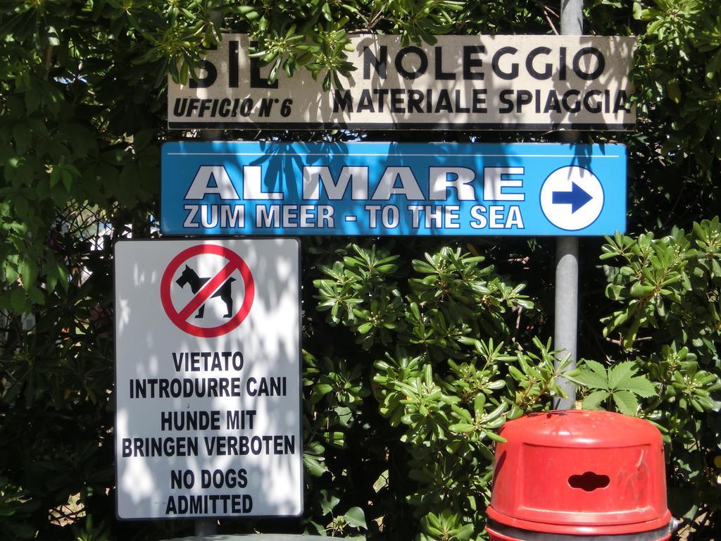 Michelangelo Beach Lignano Sabbiadoro Dış mekan fotoğraf